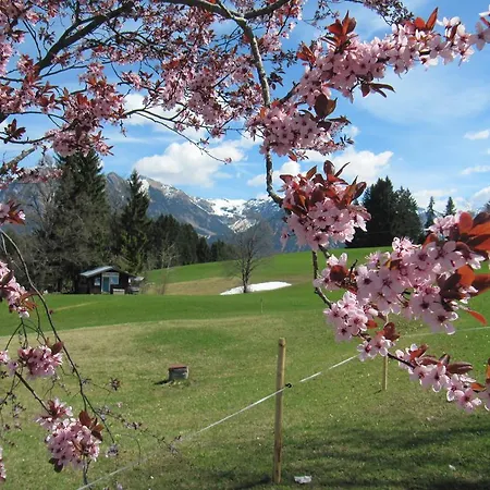 Seeweg Zajazd Oberstdorf